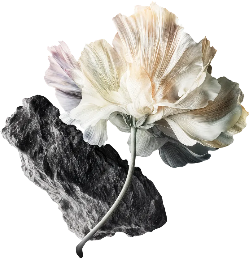 парад квартир